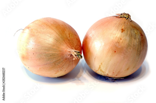 Organic onion on white background isolated
