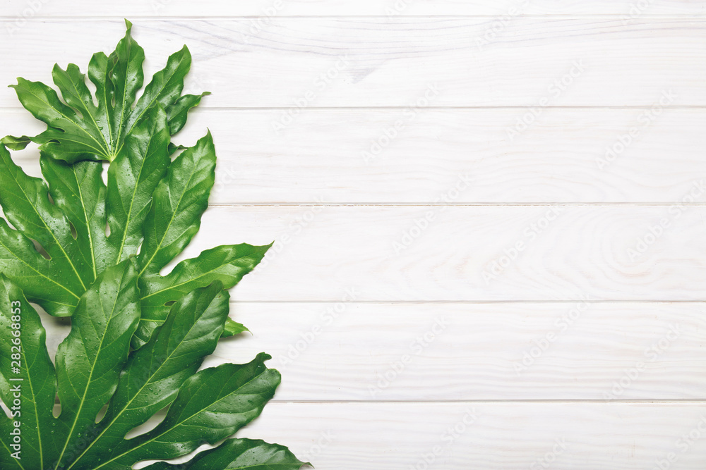 Top view of green leaves on white wooden background Top view of green leaves on white wooden background