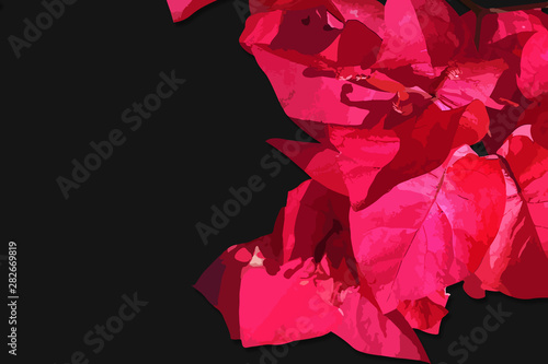 leaf illustrations, in full color, for templates and backgrounds, and covers. for design elements