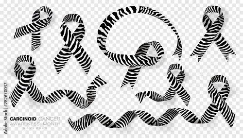 Carcinoid Cancer Awareness Month. Zebra Stripe Color Ribbon Isolated On Transparent Background. Vector Design Template For Poster.