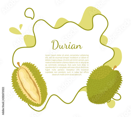 Durian exotic juicy fruit with unusual flavour and odour vector poster frame and text. Tropical edible food, dieting vegetarian icon full of vitamins