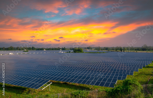 Solar panels (solar cell) in solar farm with sunset