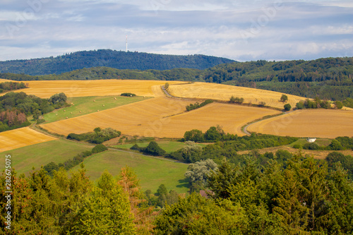 Landschaftsbilder aus der Pfalz in Rheinland-Pfalz