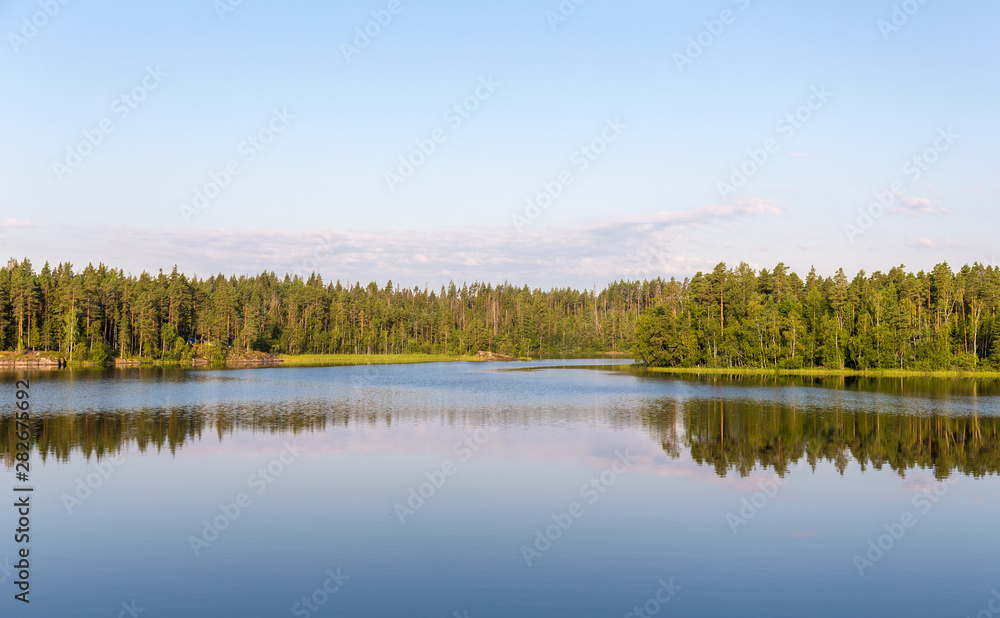 Fototapeta premium forest lake in summer