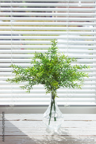 Sprigs with green leaves in a glass vase