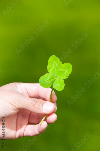 Vierblättriges Kleeblatt in der Hand