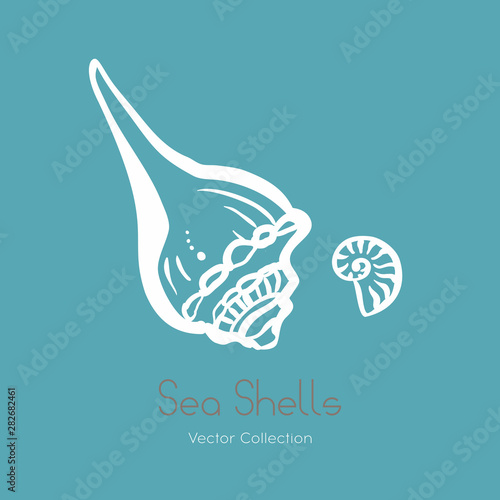 Fossil ammonite nautilus seashell vector logo set. Isolated vector of seashells, ancient ammonite fossil logo, card. Hand drawn illustration spa salon, seafood cafe, restaurant, corporate identity.