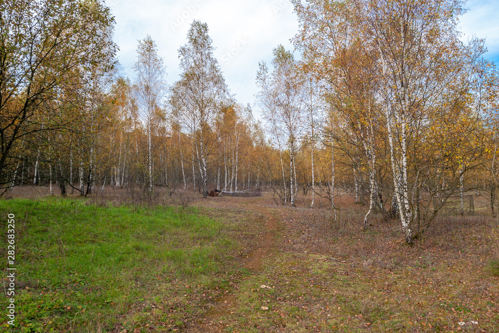 Fototapeta premium Haardt