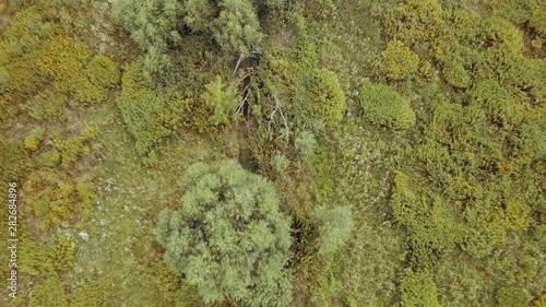 top down perspective shot at nature landscape