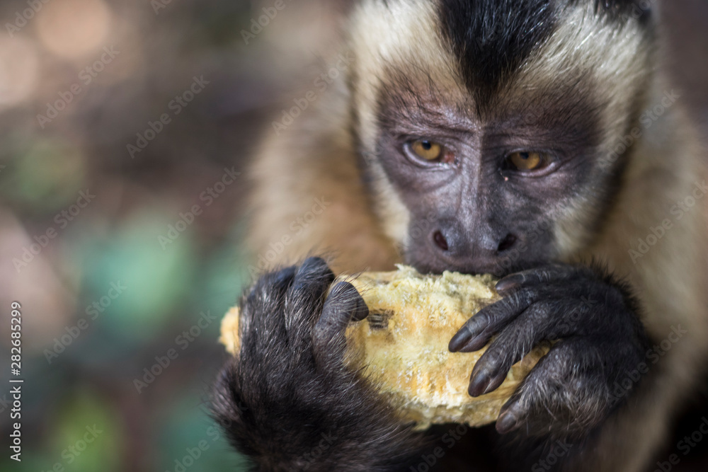 mirada humana mirada humana