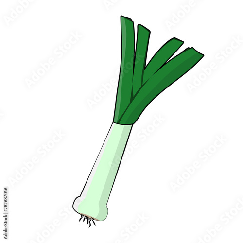 Leek icon. Flat illustration of green leek vector isolated on white background. Healthy food design consept