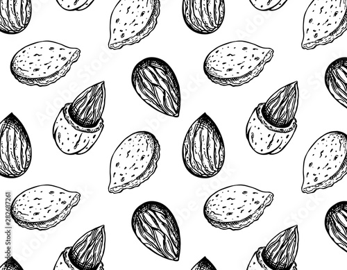 Vector illustration of sketch hand drawn pattern with graphic almond nuts isolated on white background. Vintage drawing, organic, vegan, food wallpaper. Line Art, engraving texture with nut seeds.