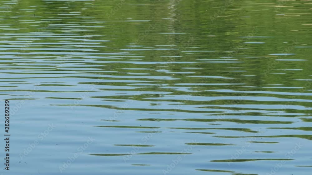 Green forest reflection in river water, background Green forest reflection in river water, background