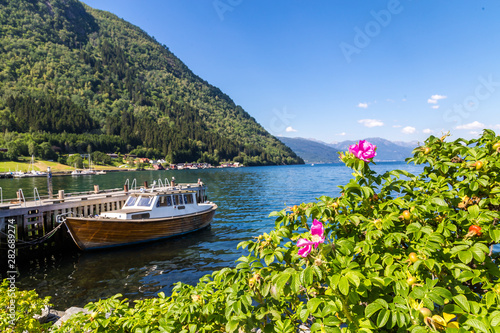 Norwegian panorama with mountains surrounding a fjord in Norway, boat and pink flowers. View from habour of Vik, a town along Sognefjord in Norway