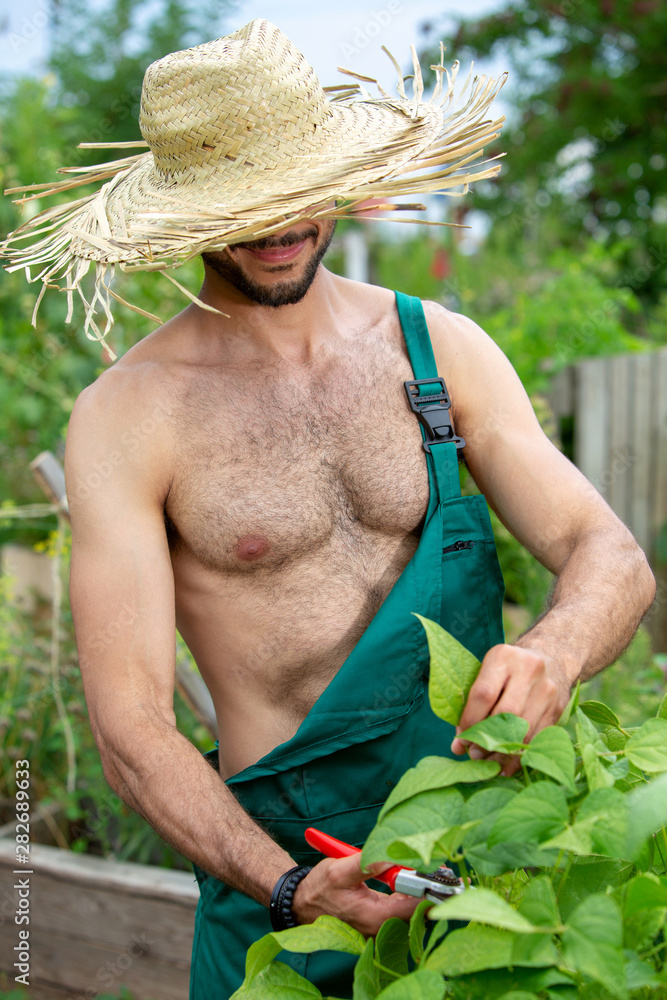 shirtless gardener with straw hat cutting flowers in the garden Stock Photo