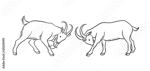Butting goats in contours - vector illustration