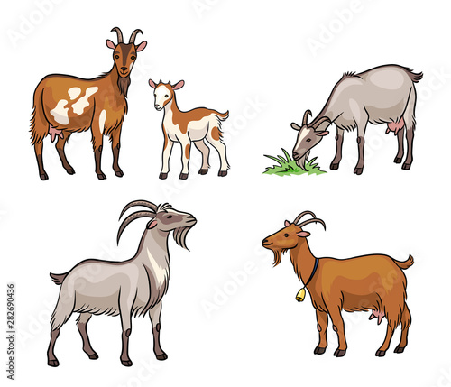 Set of different goats  - vector illustration
