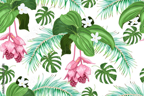 Tropical flowers and leaves. Palms, medinilla, tiara flower. Seamless vector pattern. photo