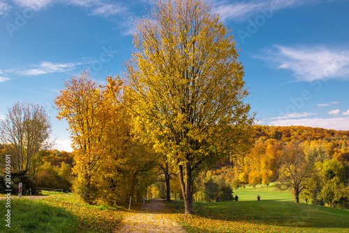 Herbst am Golfplatz in Kandern blauer Himmel