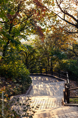 Walkway stairs of the warm autumn light seeping through the trees. Namsan, Seoul, South Korea