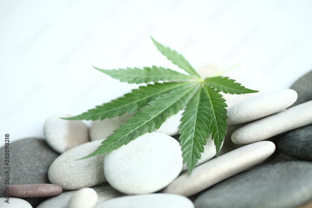 Medical marijuana cannabis cbd oil Medical marijuana cannabis cbd oil