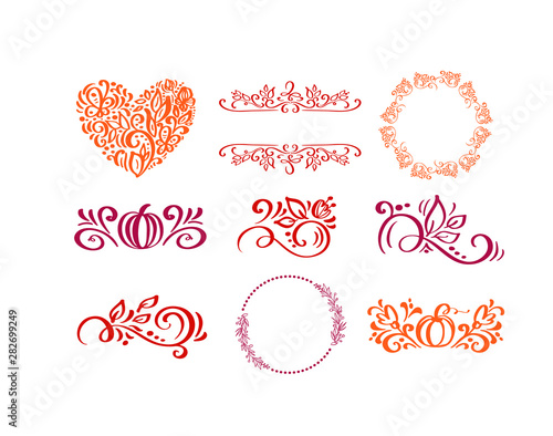 Vector set of doodle floral elements. Autumn flourish collection. Flower graphic design. Hand drawn vector botany set. Modern fall seasonal decor