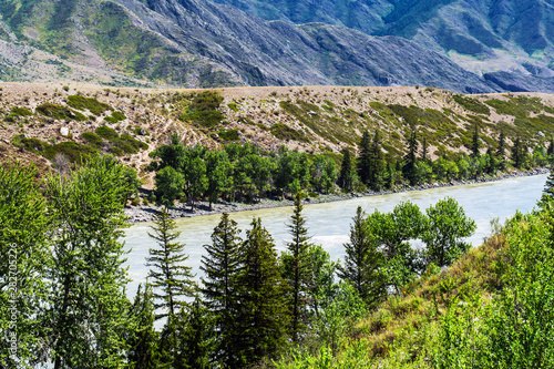 The River Katun. Gorny Altai, Russia