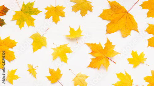 Autumn background with Fallen leaves concept on white