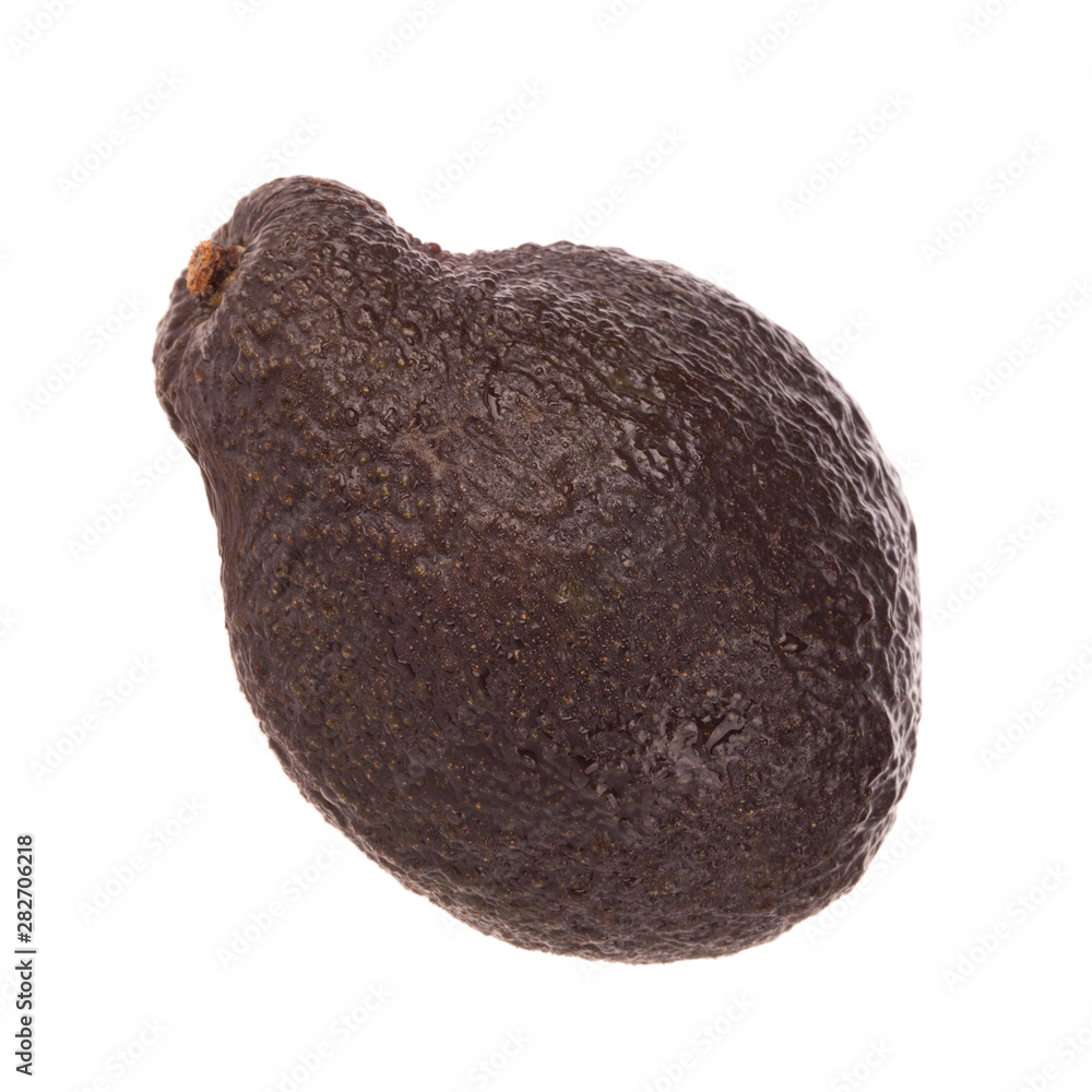 Fototapeta premium black avocado isolated on white background