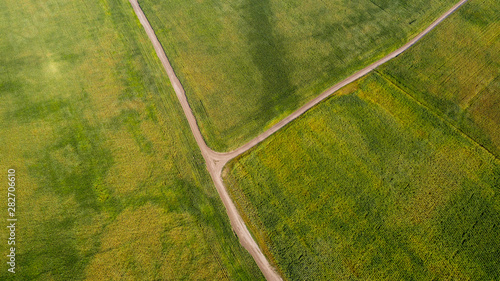 Aerial view of crossroads in green summer field, top view