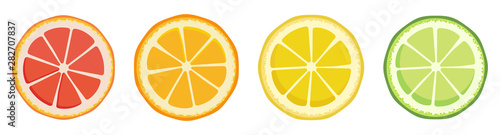 Vitamin C. Set of vector isolated elements. Bright fresh ripe juicy grapefruit orange lemon lime slices isolated on a white background. Template for animation design, icon, logo, poster, advertising.