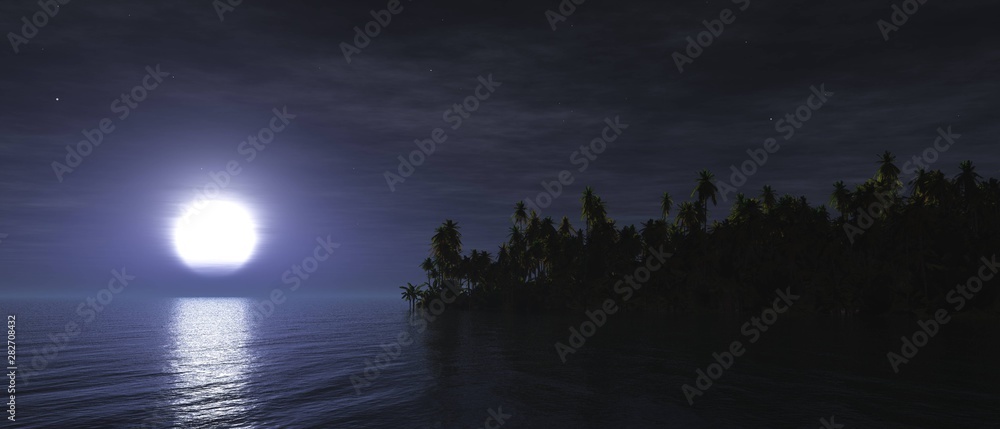 The moon over the sea. Night jungle