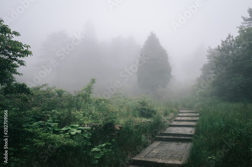 Path on Mingyue Mountain, Jiangxi, China photo