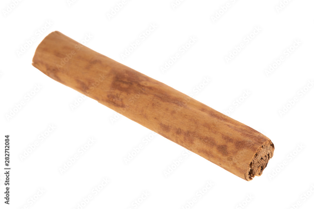 single stick of cinnamon isoalted on white background single stick of cinnamon isoalted on white background