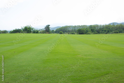 golf course on green grass background of blue sky