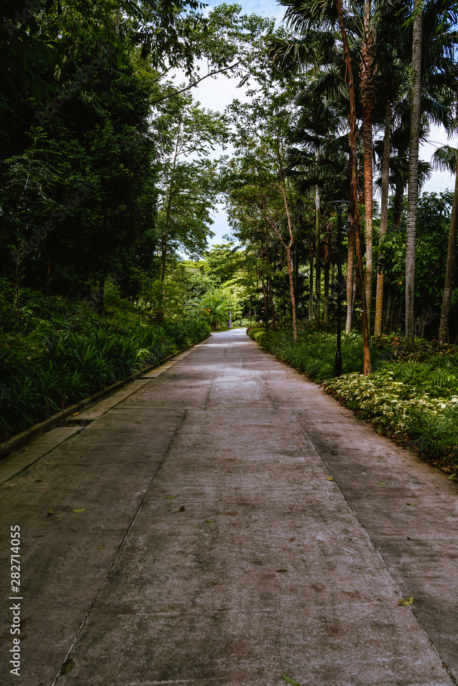 The way along the gardens by the bay The way along the gardens by the bay