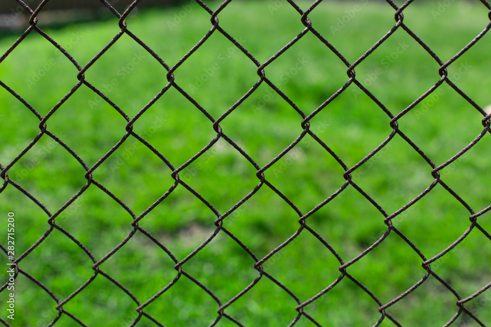 Fototapeta premium Green lawn on a metal mesh netting