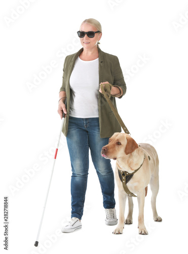 Fotografie, Tablou Blind mature woman with guide dog on white background