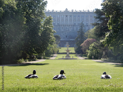 ducks in madrid palace