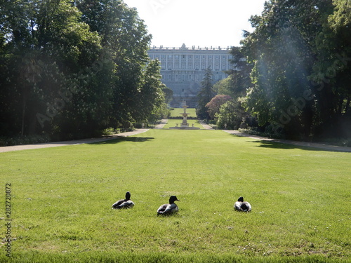 ducks in madrid palace
