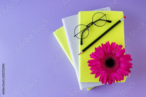 Interesting books  pencil and reading glasses and flower. Concept back to school  education  international book day.