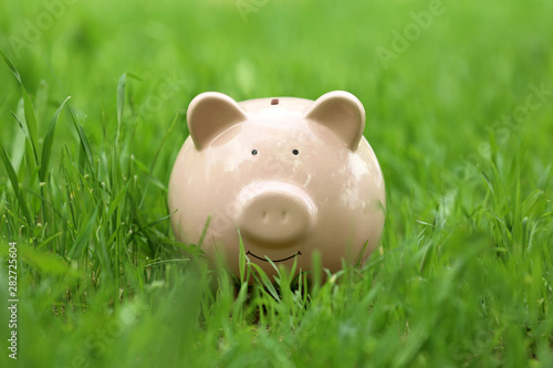 Cute piggy bank in green grass outdoors