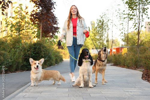 Canvas Print Young woman walking adorable dogs in park