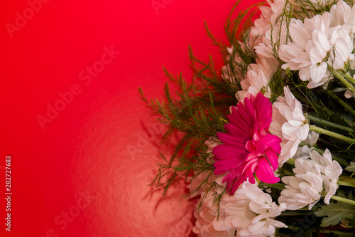 bouquet of white chrysanthemums with pink gerbera on a pink background top view copy space red bright