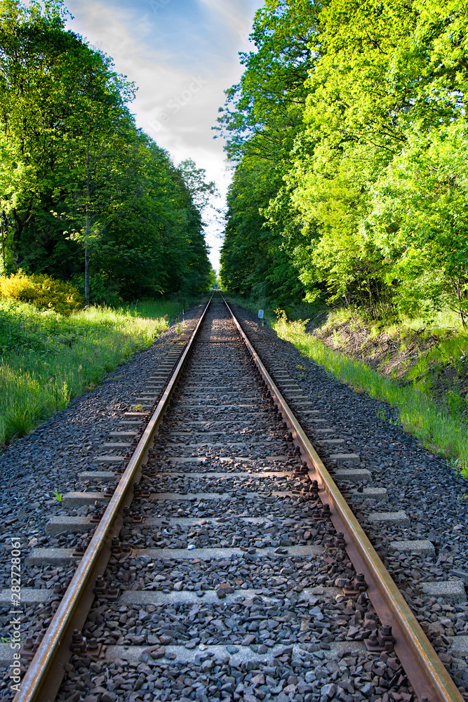 beautiful green railway