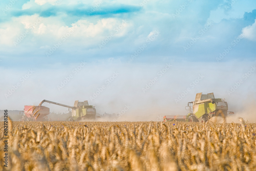Fototapeta premium harvester machine