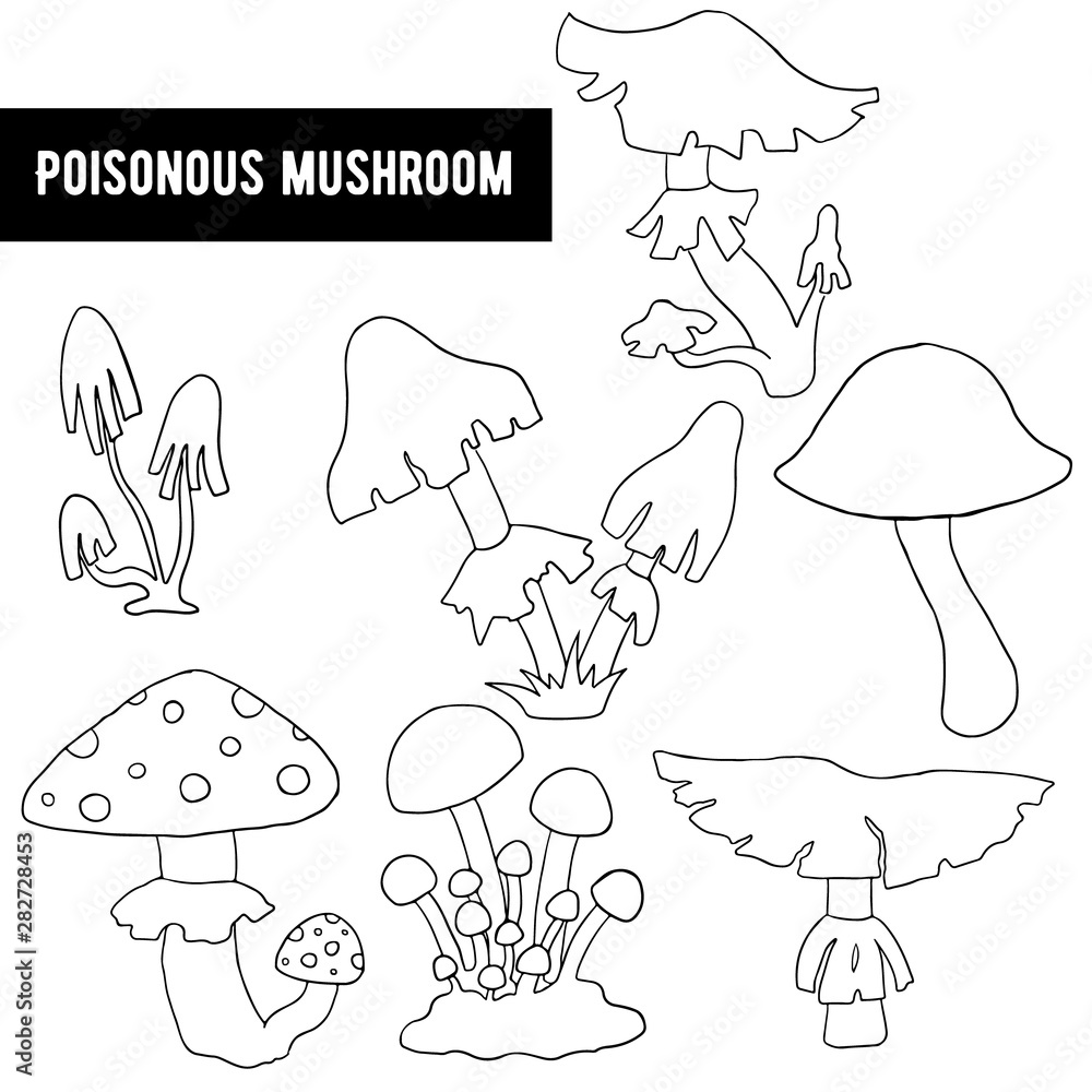 Set of toxic dangerous mushrooms. Sketch. Vector Set of toxic dangerous mushrooms. Sketch. Vector