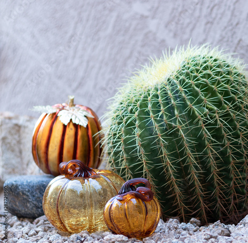 Holiday in the desert with the catcus