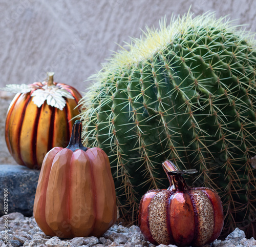 Holiday in the desert with the catcus