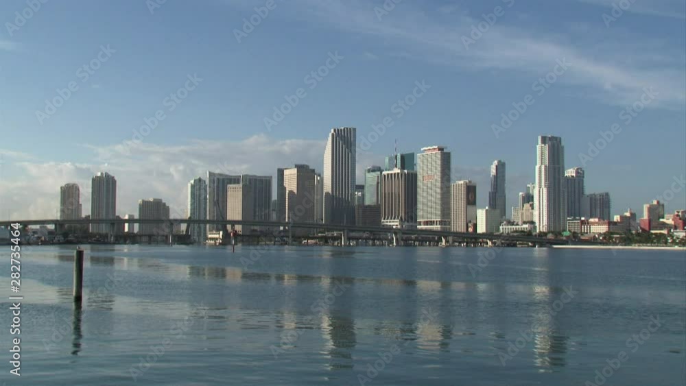Miami city skyline and bridge and water-bird flies through frame-sunshine blue sky Miami city skyline and bridge and water-bird flies through frame-sunshine blue sky